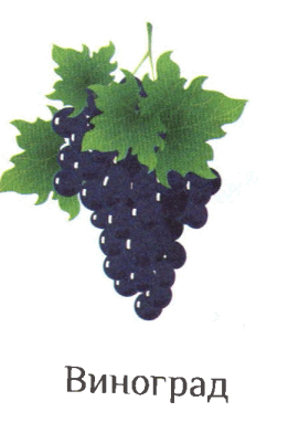 06016lym-2f7e-261x392.png