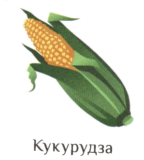 06016lyn-523b-298x331.png