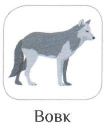 06016m1f-0a3d-217x251.png
