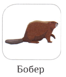 06016m1m-d794-224x263.png