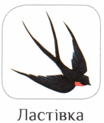 06016m25-d1fa-210x248.png
