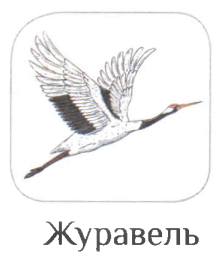 06016m2c-09e0-217x260.png