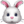 🐰