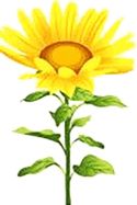 06016n1g-9bcd-125x187.png