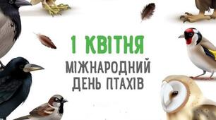 Міжнародний день птахів.