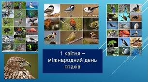 1 КВІТНЯ – МІЖНАРОДНИ́Й ДЕНЬ ПТАХІВ