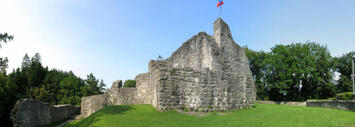 06016po2-31a6-355x127.jpg