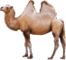 06016pyu-91cc-73x67.png