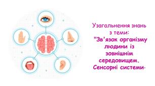 Узагальнення знань з теми "Зв'язок організму людини із зовнішнім середовищем. Сенсорні системи" 