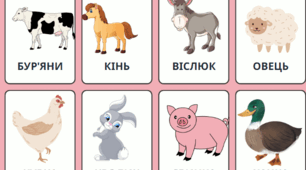 Різнокольорові сільськогосподарські тварини. (формат-PNG)