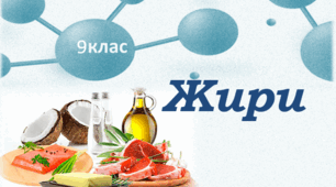 Жири