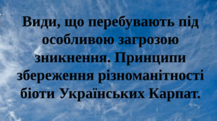 Види, що перебувають під особливою загрозою зникнення. Принципи збереження різноманітності біоти Українських Карпат