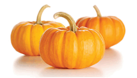 06016ujc-1823-273x156.png