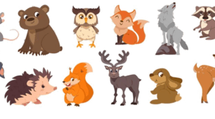 Prepare 6 (Unit 16). WILD ANIMALS. Rebus puzzles