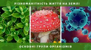 Діагностична робота №5 Пізнаємо різноманіття організмів 5 клас 2025/26 