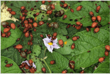 https://fs04.vseosvita.ua/04021tep-eb41-215x145.png