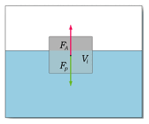 0601786c-d672-302x250.png