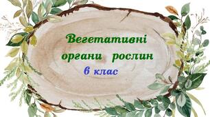 Вегетативні органи рослин