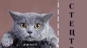 Перезентація "Фотомистецтво" для учнів 5 класу