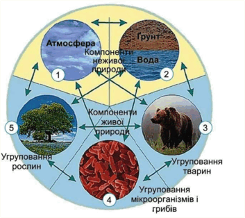 06017eu2-6ea3-353x314.png