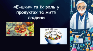 Проєктна робота на тему «Роль "Е-шок" у продуктах та житті людини»