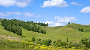 Ландшафти України