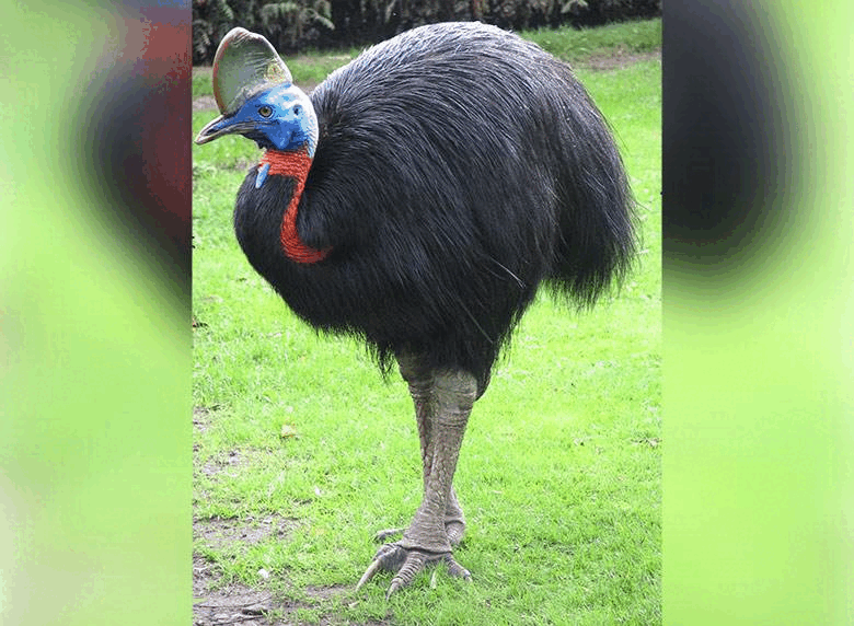 06017hge-76cf-780x572.png