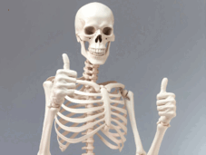06017jvu-49da-227x171.png
