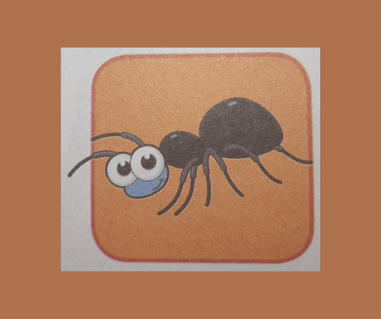 06017nby-deb0-765x641.png