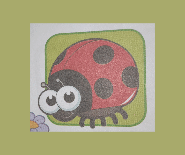 06017nd1-bbe8-765x641.png