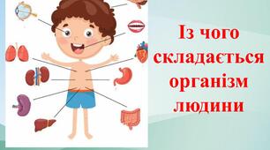 Із чого складається організм людини
