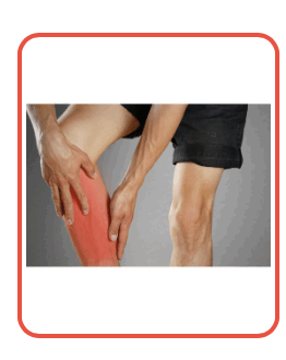 06017p6v-13f0-262x330.png