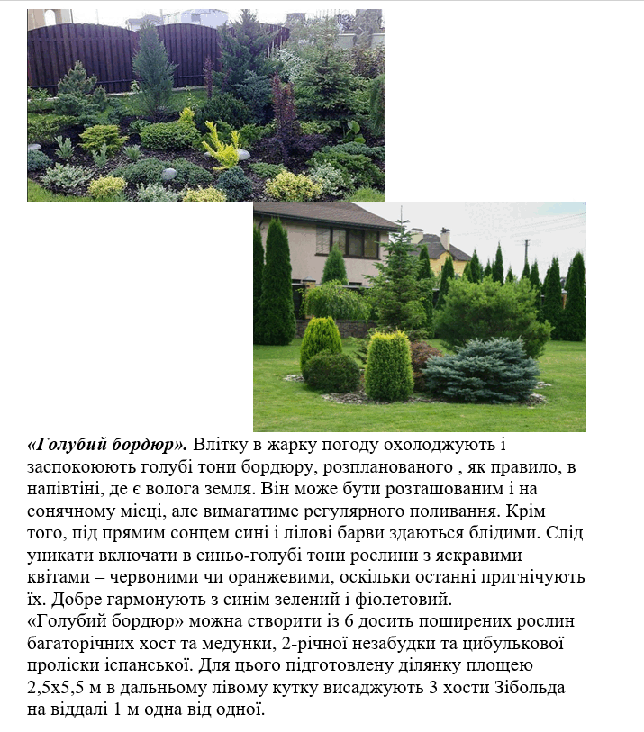 06017rky-edf8-715x813.png