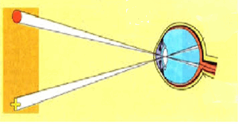 06017ttx-9ea3-334x174.png