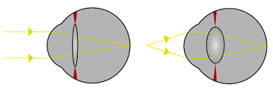 06017tua-3384-386x130.png