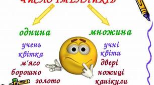 52. Число іменника. Іменники, які мають лише однину чи множину.