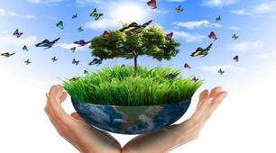 Антропічний вплив на біорізноманіття