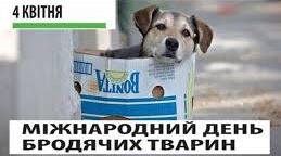  4  КВІТНЯ  МІЖНАРОДНИЙ ДЕНЬ БРОДЯЧИХ ТВАРИН   