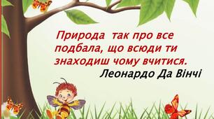 Формування екологічної культури у дітей з особливими освітніми потребами