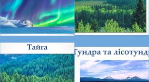 Природні зони (Широколистяні ліси, тайга, тундра, антарктична та арктична пустелі)