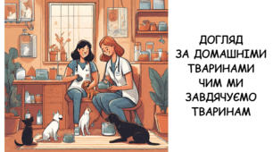 Як доглядати за домашніми тваринами. Чим ми завдячуємо тваринам