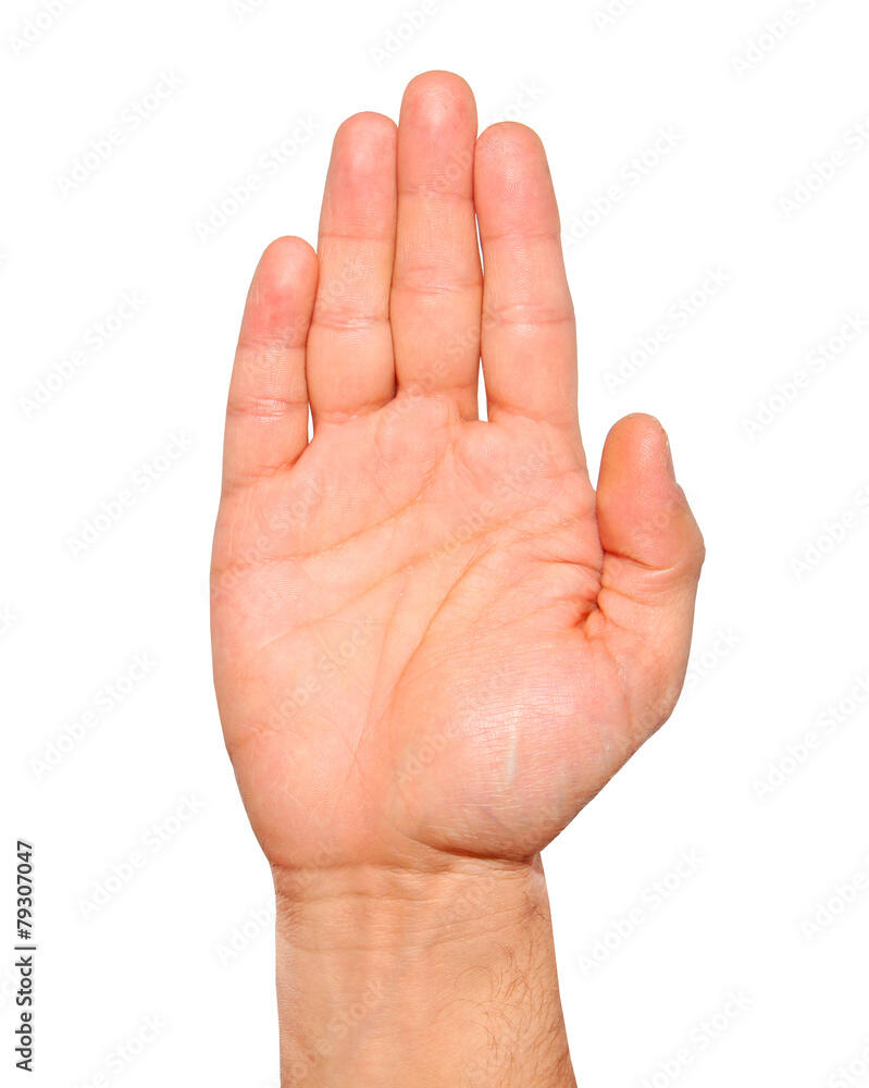 Open palm hand gesture of male hand Isolated фотография Stock | Adobe Stock
