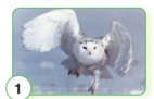 06017zkj-cce1-142x91.png