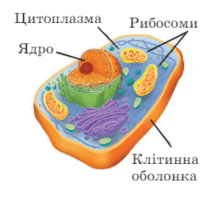 060180hg-6502-220x198.png