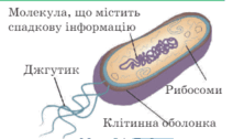 060180j1-5d00-222x126.png