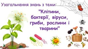 Діагностична робота   7-в клас    Клітини, бактерії, віруси, гриби, рослини і тварини