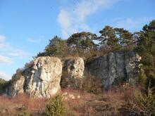 Скеля Франка у селі Вікно / © http://www.medobory-reserve.te.ua/