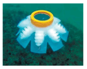 060186d9-a196-172x137.png