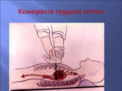 060186k1-de9d-174x130.jpg