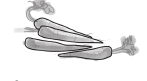060186vf-ca55-147x81.png